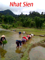 Nhatsien.xtgem.com cay nha phan sanh phau 1